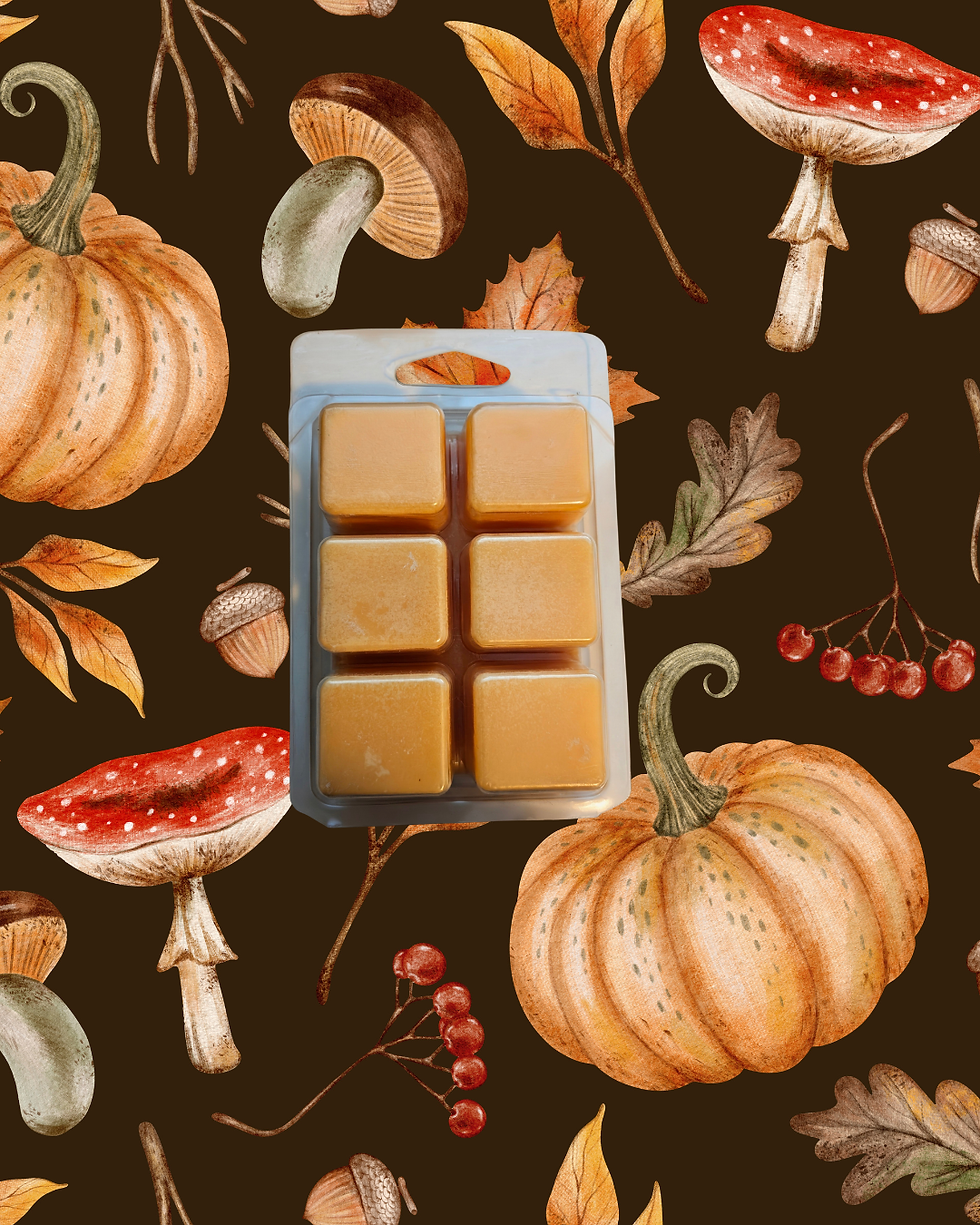 Thumbnail: A six pack of Toasted Pumpkin Spice soy wax melts in a clear clamshell. Back View.
