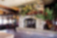 Fireplace Eden Prairie