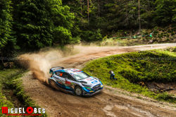 WRC PORTUGAL-626