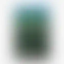 Open Farm Costa Rica RawMix Open Prairie Ancient Grains