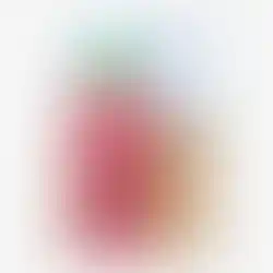 Open Farm Wild-Caught Salmon Grain Free Costa Rica