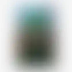 Open Farm Costa Rica RawMix Open Prairie Ancient Grains