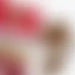 Open Farm Grass-Fed Beef Ancient Grains Costa Rica