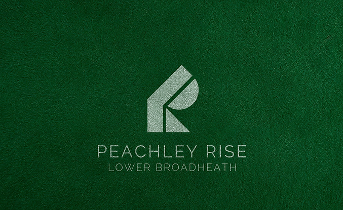 Screenshot 2024-10-25 231722.png