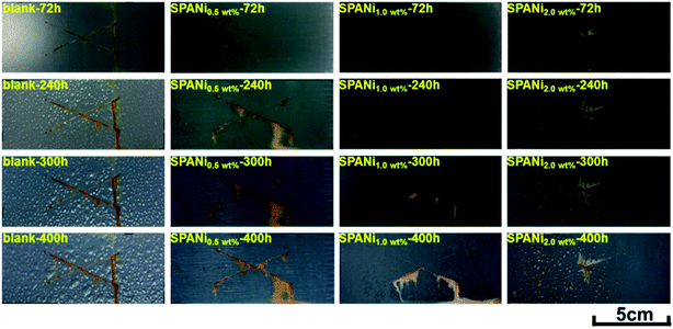 Spray Salt Corrosion Test.gif