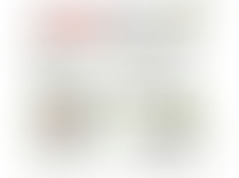 岐阜南地域安全ニュース