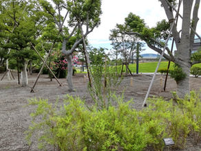 暮らす楽しさと喜び