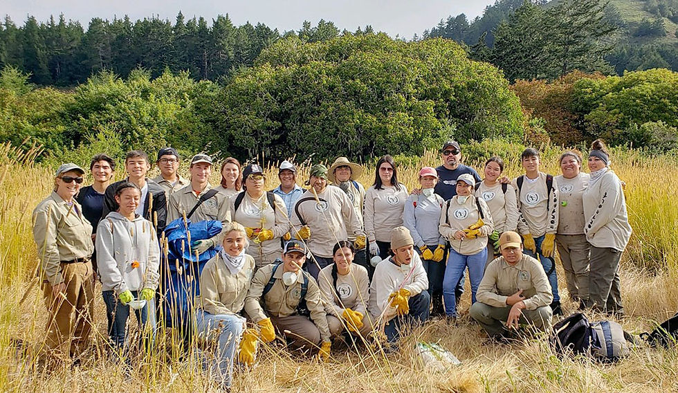 A group of people in a grassy field