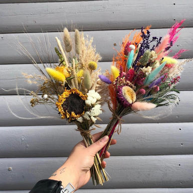Harbinger of Bloom