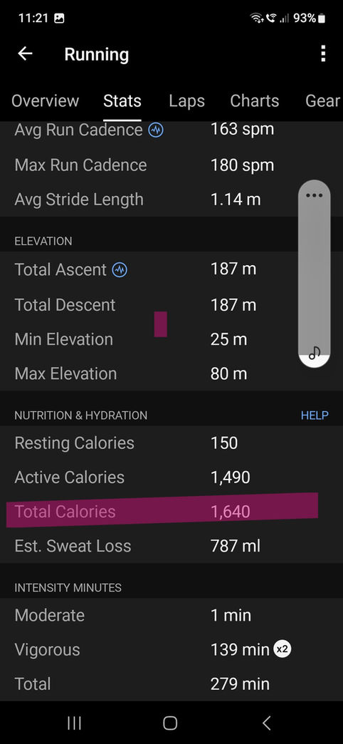 In-run calorie consumption