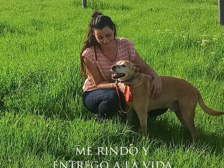 Decir si ala vida