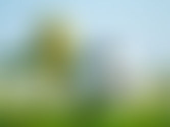 Infografía: Algunos datos y hechos históricos del Mundial