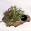 Thumbnail: Normandy Spruce Pre Bonsai Material Bonsai Pot Hardy Outdoor Conifer Tree