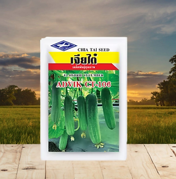 Copy of Hindustant Seeds (30).png