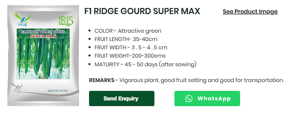 F1 RIDGE GOURD SUPER MAX