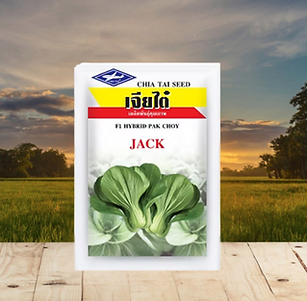 Copy of Hindustant Seeds (58).png