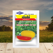 Copy of Hindustant Seeds (2).png