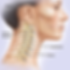 How Physiotherapy Can Relieve Your Neck and Arm Pain