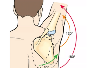 Reclaim Shoulder Control: Exercise Strategies for Instability