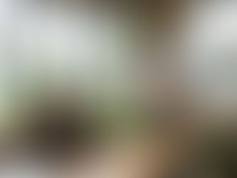 The Role of Interior Architects in Sustainable and Eco-Friendly Design