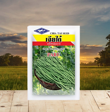 Copy of Hindustant Seeds (7).png