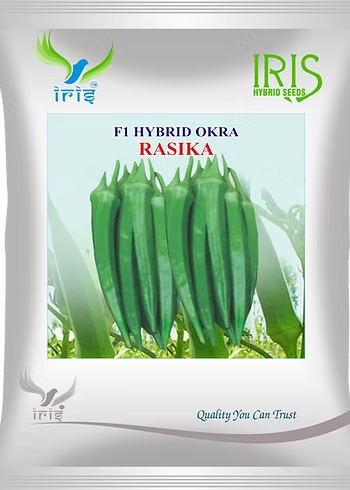 Vegetable Farming in India