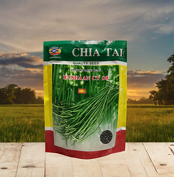 Copy of Hindustant Seeds.png