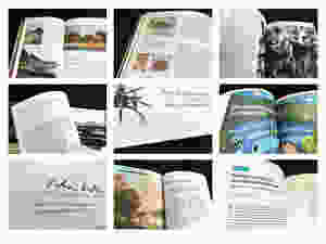 portfoliopresentation.002.jpeg