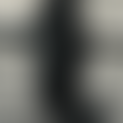 Ute och fotograferar för Håbo Kommun