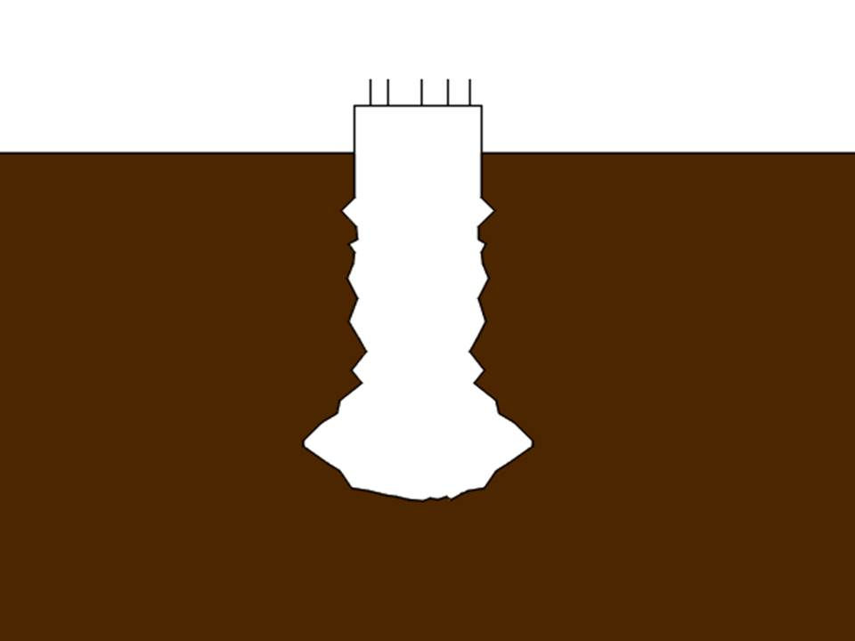 ree