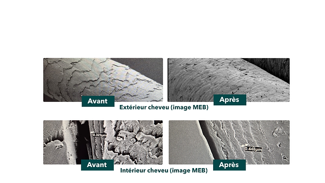 Présentation Deep Smooth (1).png