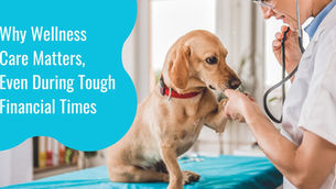 Why Wellness Care Matters — Even During Tough Financial Times