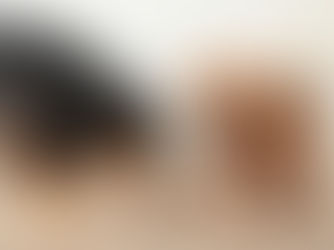 Why Veterinarians Commonly Recommend Hill’s, Purina, and Royal Canin Pet Foods