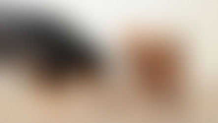 Why Veterinarians Commonly Recommend Hill’s, Purina, and Royal Canin Pet Foods