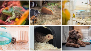 Location, Location, Location!