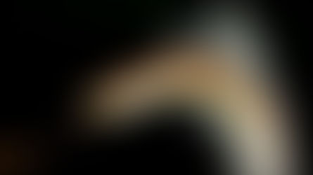 Common Reptile Shedding Problems and How to Prevent Them