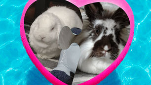 Hi, we're McCoy and Luna!
