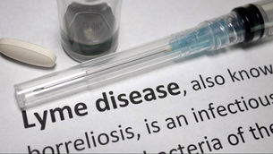 Lyme Vaccine