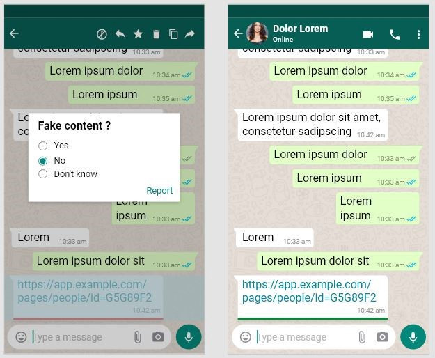 WhatsApp fake news detection system