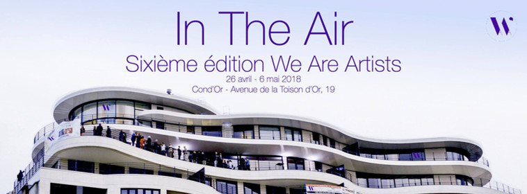 IN THe AIR copie 2.jpg