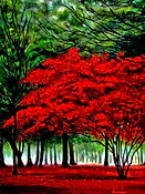 Red Tree.JPG