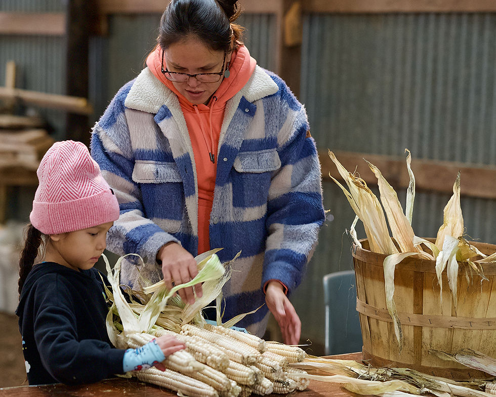 Woman and young child stacking husked corn onto table