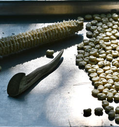 Loose, dried corn kernels next to a cob