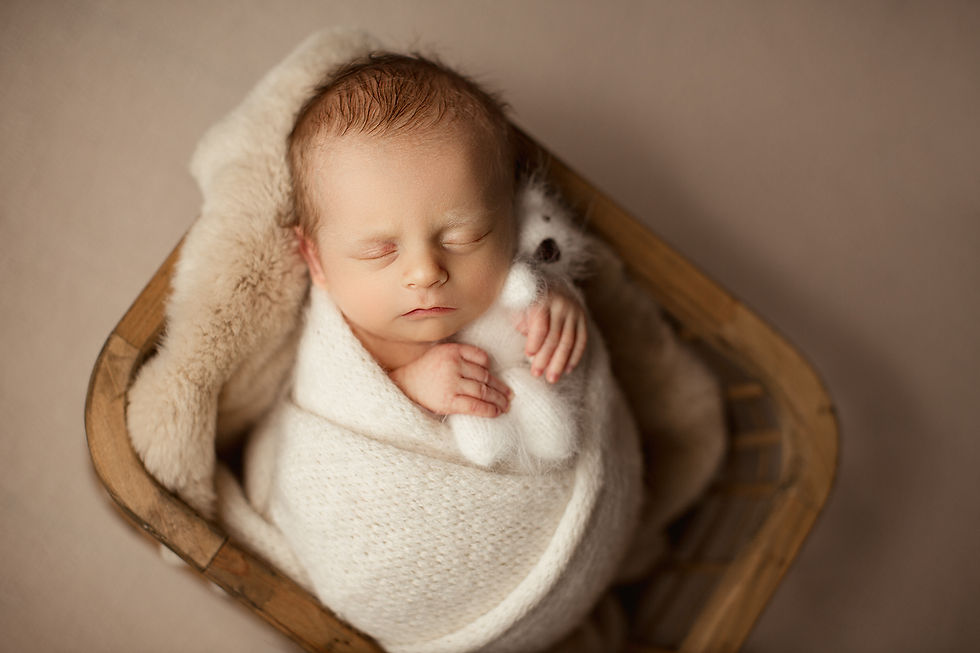 best newborn photographer near me, Houston baby portraits, newborn photoshoot Houston