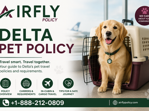 How Much Does Delta Charge for a Pet Carry-On?