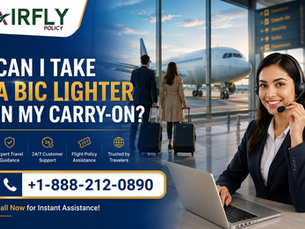 Can I Take a Bic Lighter in My Carry-On?