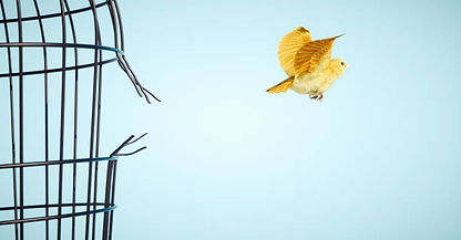 istockphoto-1357145597-612x612.jpg