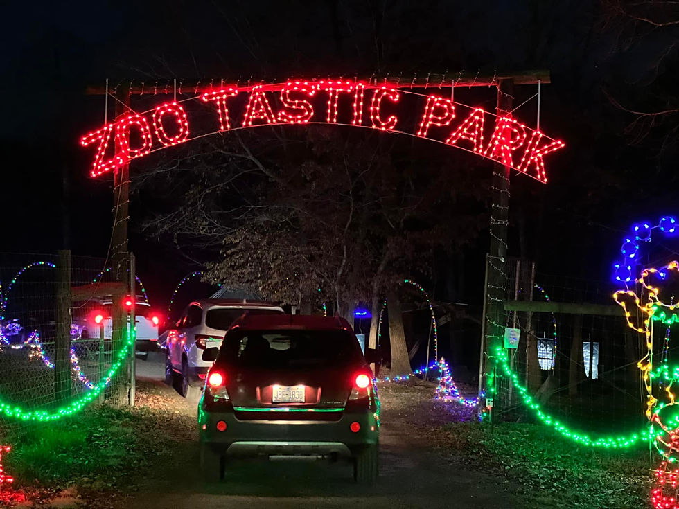 Photo from Kids Out And About Charlotte