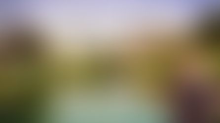 Lights Are Bright & the Market Is Steady - Weekly Charlotte Real Estate Market Update ✨📊