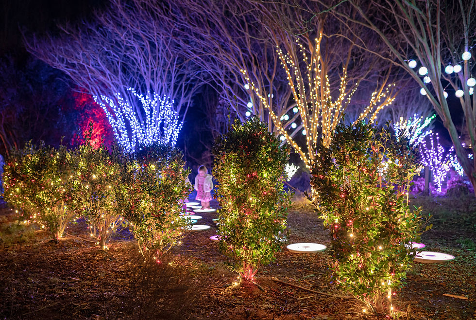 Photo from Daniel Stowe Conservancy